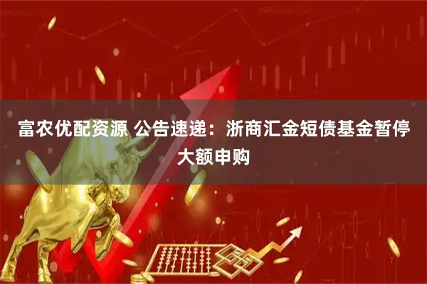 富农优配资源 公告速递：浙商汇金短债基金暂停大额申购