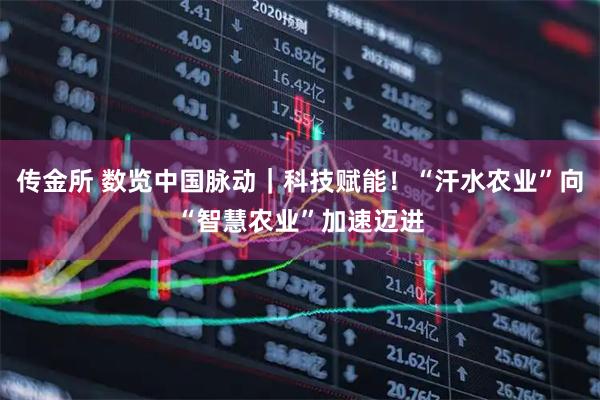 传金所 数览中国脉动｜科技赋能！“汗水农业”向“智慧农业”加速迈进