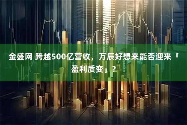 金盛网 跨越500亿营收，万辰好想来能否迎来「盈利质变」？