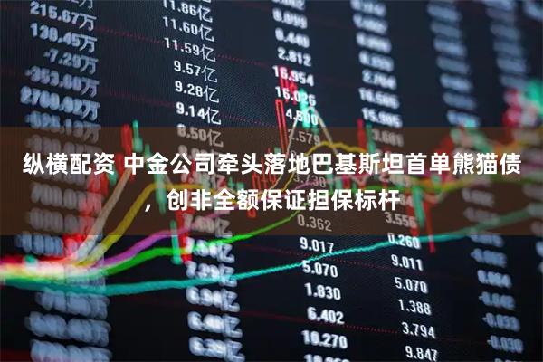 纵横配资 中金公司牵头落地巴基斯坦首单熊猫债，创非全额保证担保标杆